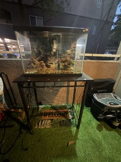 20-Gallon Fish Tank with Stand, Filter, Heater, Pump, Lighting, and Decor – Complete Setup
