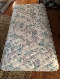Free twin mattress
