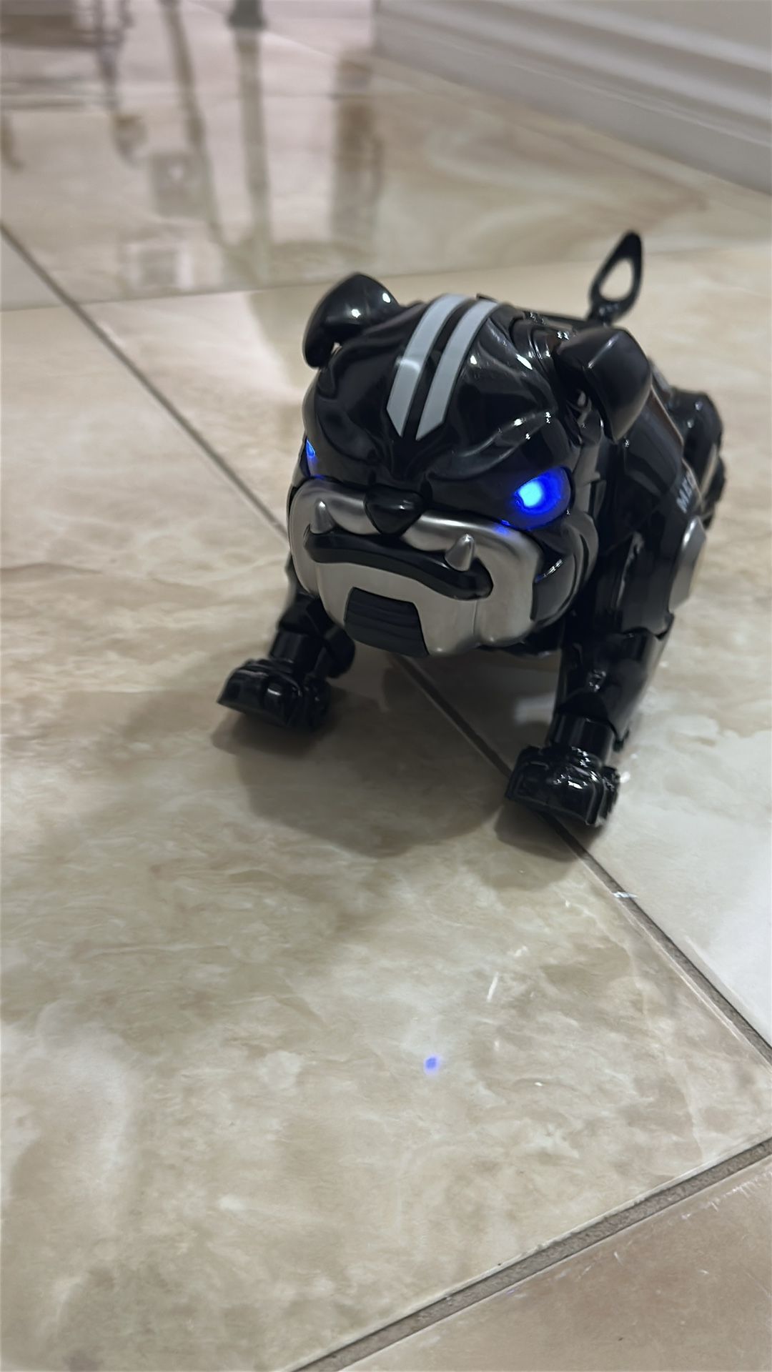 Remote Dog Toy