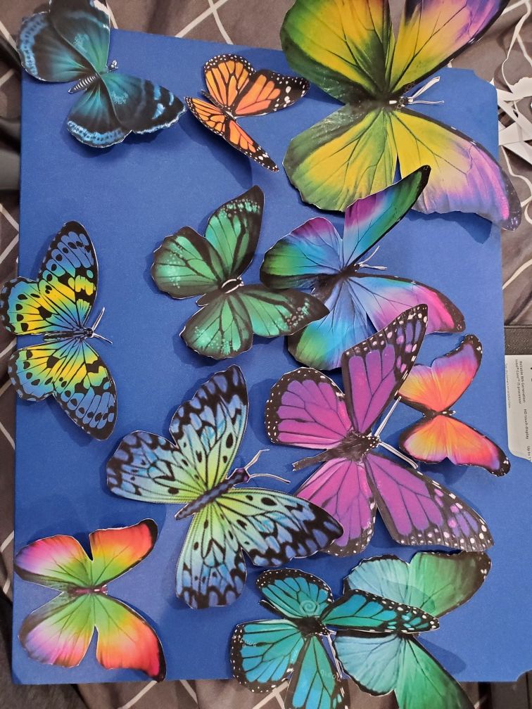 Butterfly cut outs