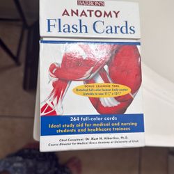 anatomy Flashcards