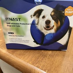 Protective Collar For Dog 