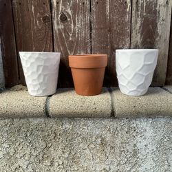 5” Pots