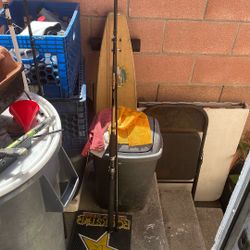 I Fishing Rod Dm For More Info On It 
