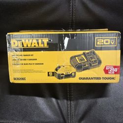 Dewalt 20V MAX 6.0 Ah Battery and 6 Amp Rapid Charger