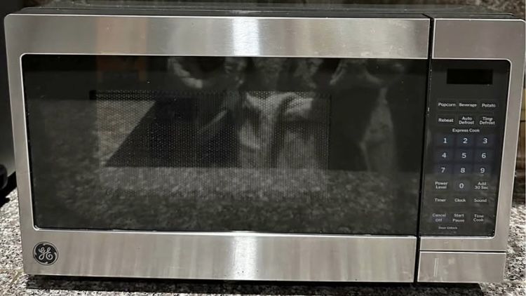 GE microwave