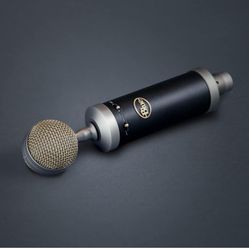 Blue Mic 🎤 