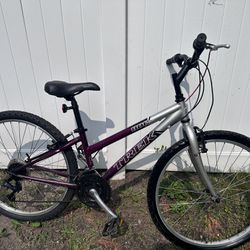 Trek Mountain Bike 26” Wheels Bicycle