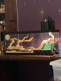 tank for sale (snake not included)