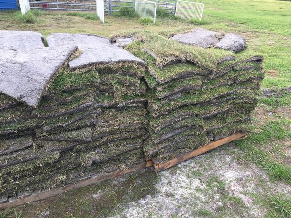 1 Pallet of Zoysia Sod Grass for Sale in Kissimmee, FL ...