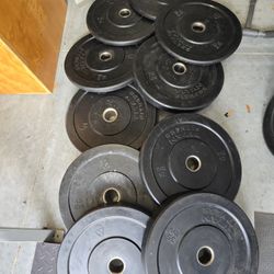 Weight Bumper Plates 