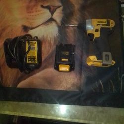 DeWalt Impact Driver Complete Set