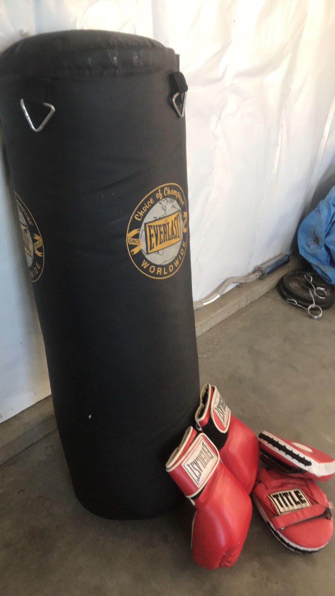 Everlast Heavy bag, focus mitts and gloves
