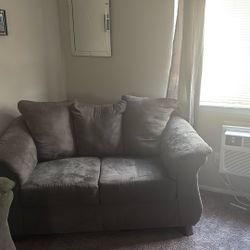 Love Seat And Couch, With Rug Included 