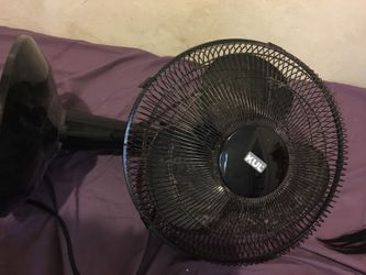 Fan