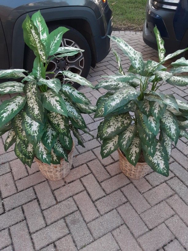 2 artificial Plants in basket