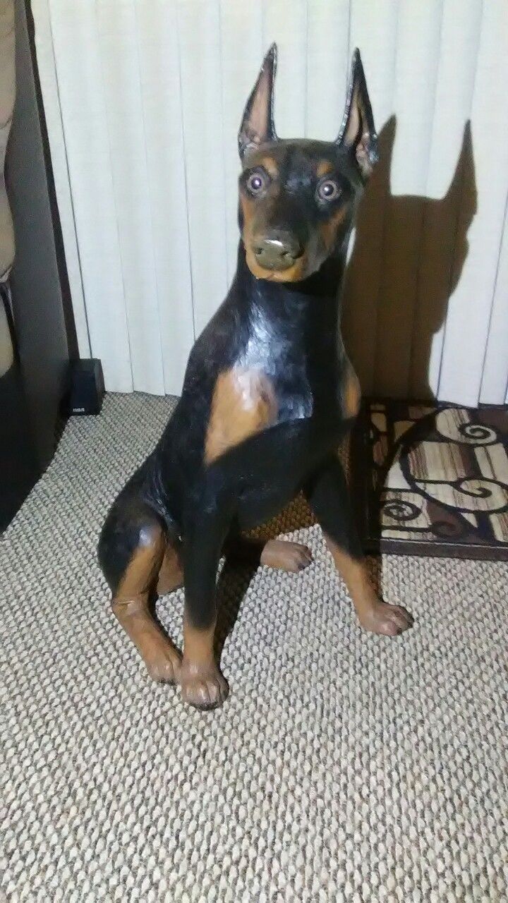 Life size Doberman Pinscher Statue