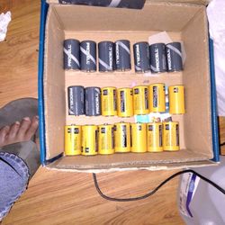 Procell from Duracell D12 Batteries 