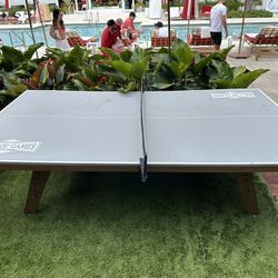 Hall of Games Regulation Size Indoor Ping Pong Tennis Table