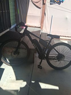 Qlife racer ebike