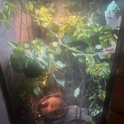Reptile supplies