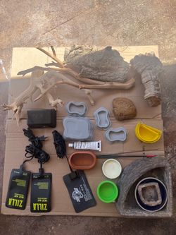 Reptile Supplies