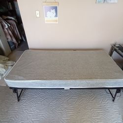 Immaculate Clean Twin Mattress Always Covered Heavy Duty Protective Cover Included $25