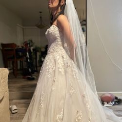 Wedding Dress, Slip, Veil