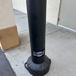 Free Standing Punching/Kicking Bag