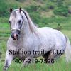 Stallion Trailer LLC