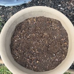Large Pot With Soil