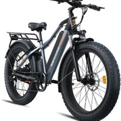 Off-road Mountain electric bike