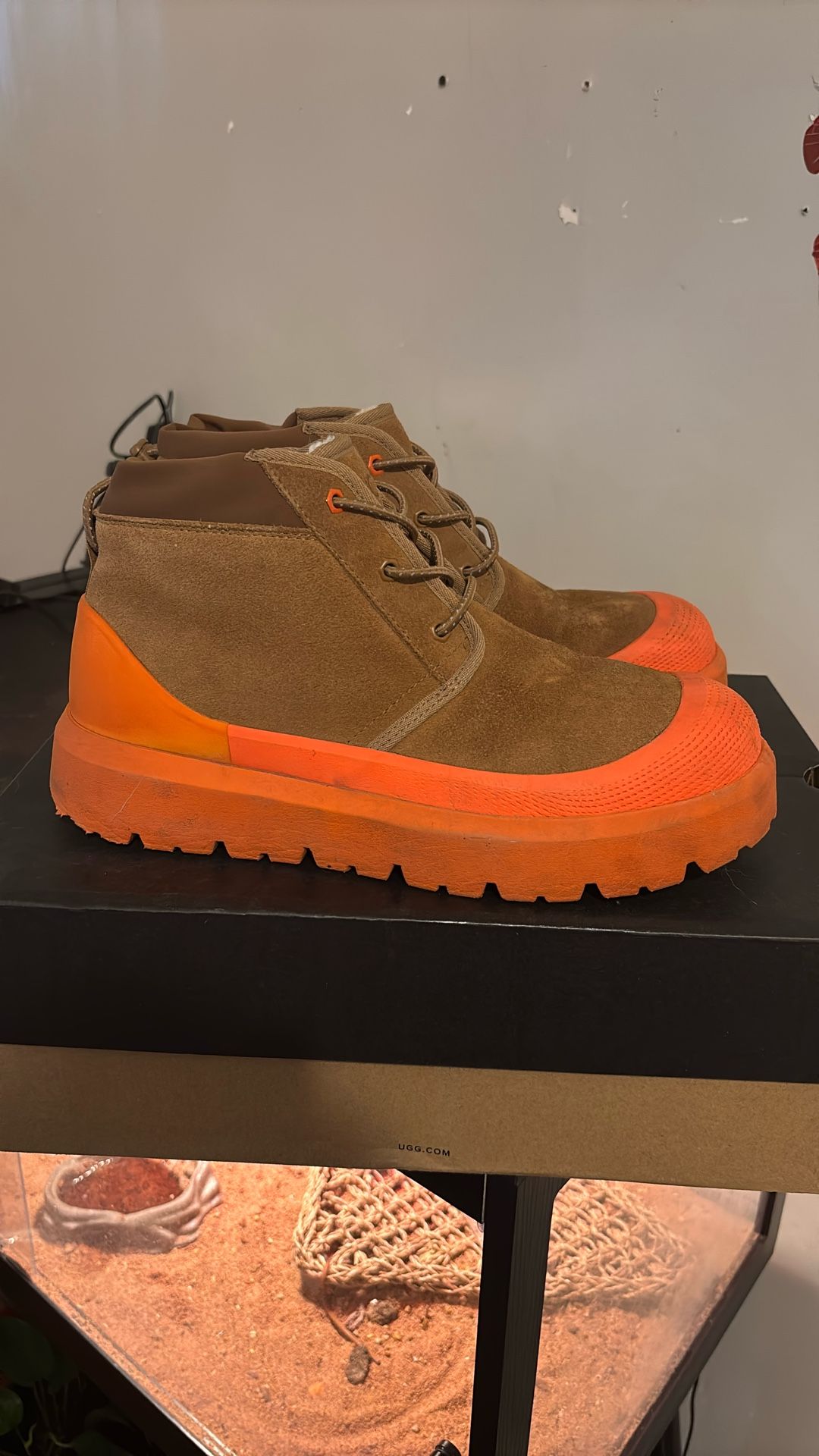 Men’s Uggs