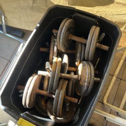 Dumbbells With EZ Bar And Dumbbell Rack Home Gym