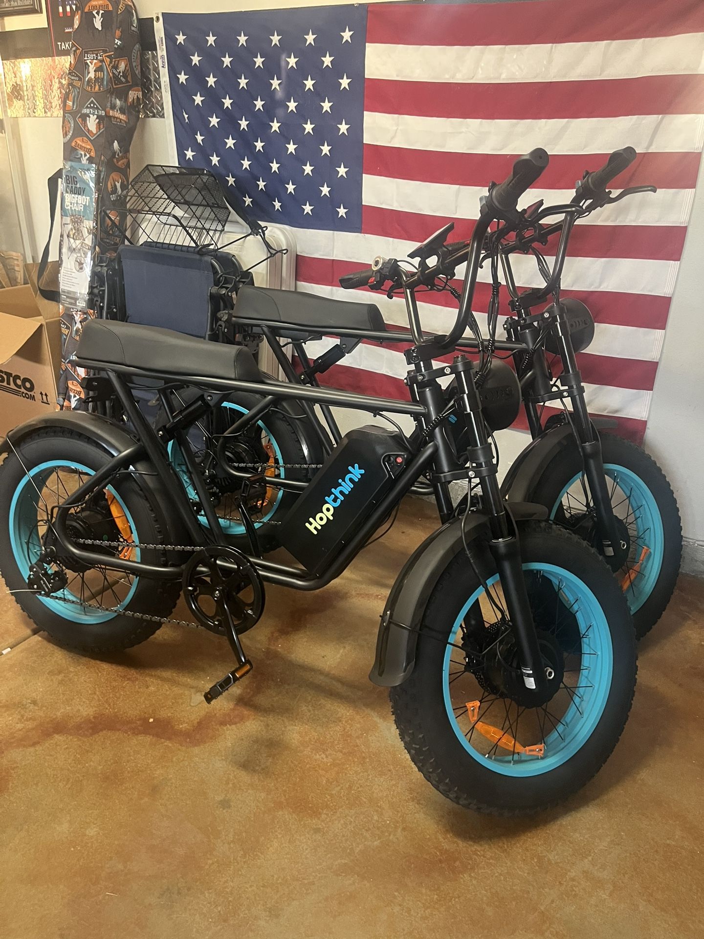 Electric bikes