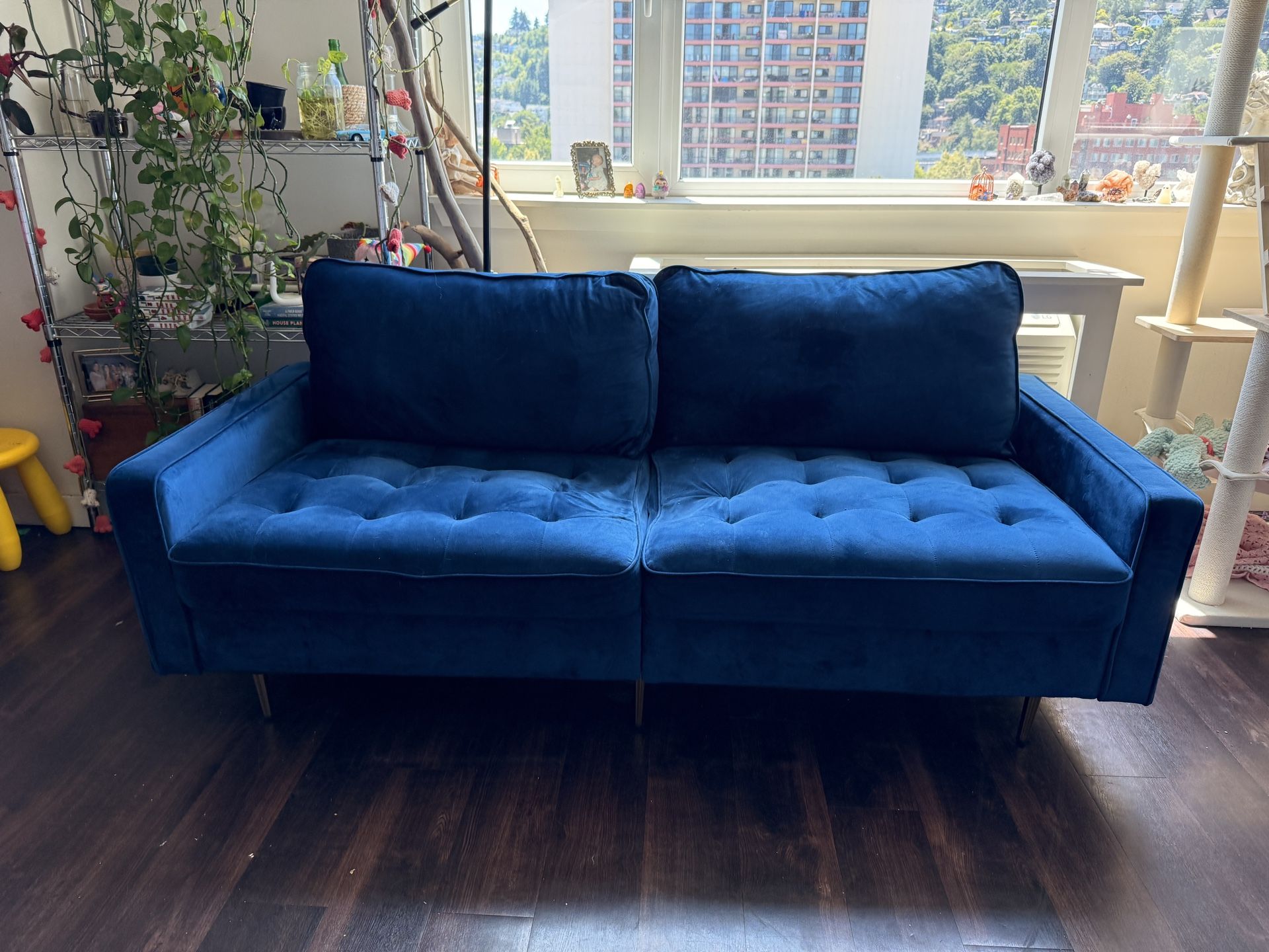 blue velvet couch