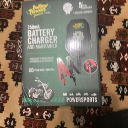 750mA Battery charger and maintainer