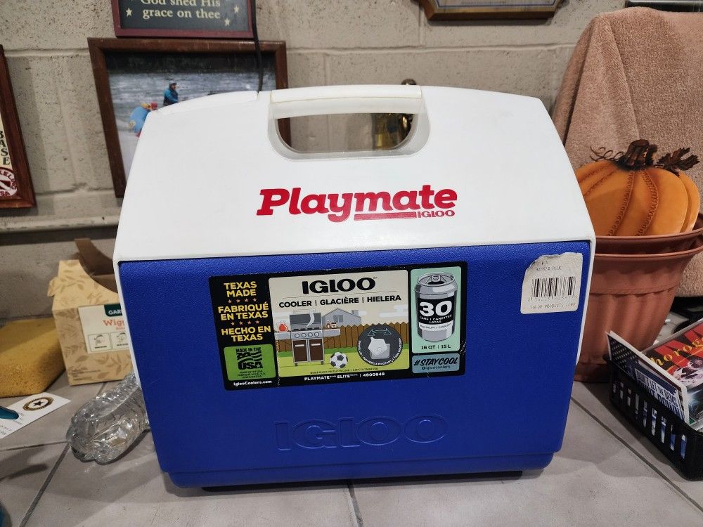 Igloo Cooler (Playmate)
