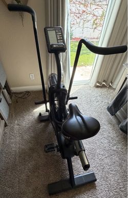 Assault Fitness Air Bike