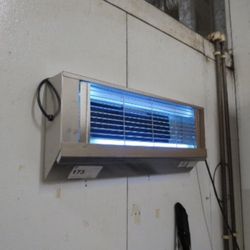 GILBERT 225GT BUG LIGHT