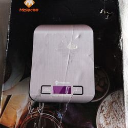 DIGITAL STAINLESS STEEL 5000g/11lbs, MINIMUM 3g