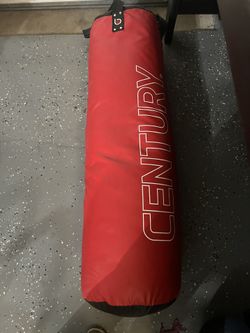 Punching Bag