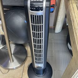 Fan