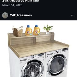 Laundry organizer