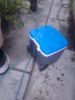 Large Rolling Cooler with Wheels