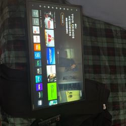 Vizio 32in Tv