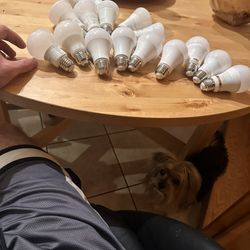 Phillips Hue Setup 