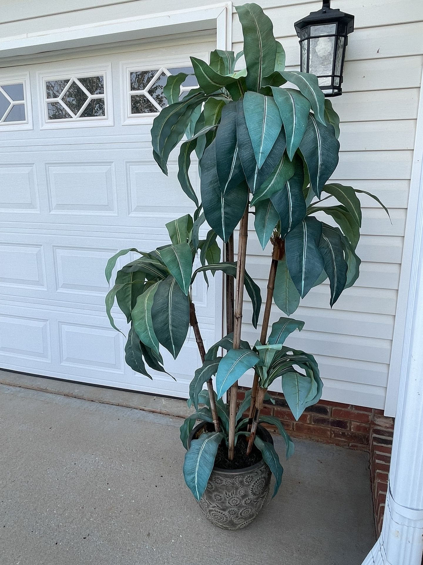 Plant