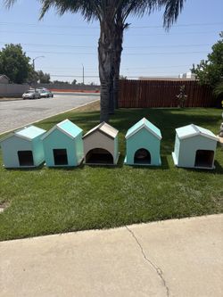 Dog Houses