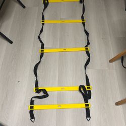 Workout Ladder